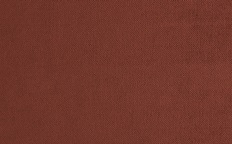PI22-coral.jpg